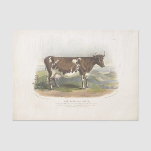 ブラウンスポッテッドカウエフエメラデクページヴィンテージファーム 薄葉紙 (正面)