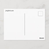 ブラウンスラッシャー ポストカード (裏面)