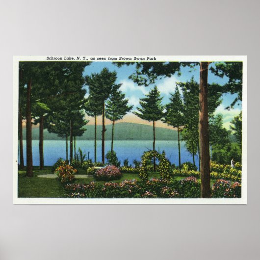 ブラウンスワンパークビューオブザレイク ポスター (正面)