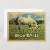 ブラウンズビルテキサス州ホースファーム – ヴィンテージトラベル ポストカード (正面/裏面)