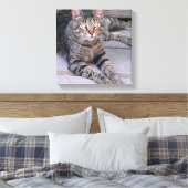 ブラウンタビーキャットアウトドア キャンバスプリント (インサイチュ (寝室))