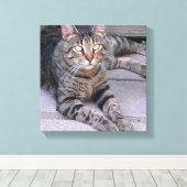 ブラウンタビーキャットアウトドア キャンバスプリント (インサイチュ (ウッドフロア))