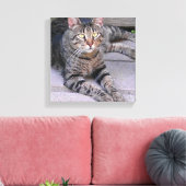 ブラウンタビーキャットアウトドア キャンバスプリント (インサイチュ (リビング))