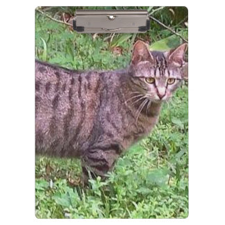 ブラウンタビーキャットアウトドア クリップボード