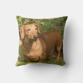 ブラウンダシュント – ドキシエ クッション (裏面)