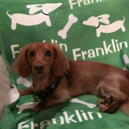 ブラウンダシュンドウィーナードッグカスタムブランケット フリースブランケット