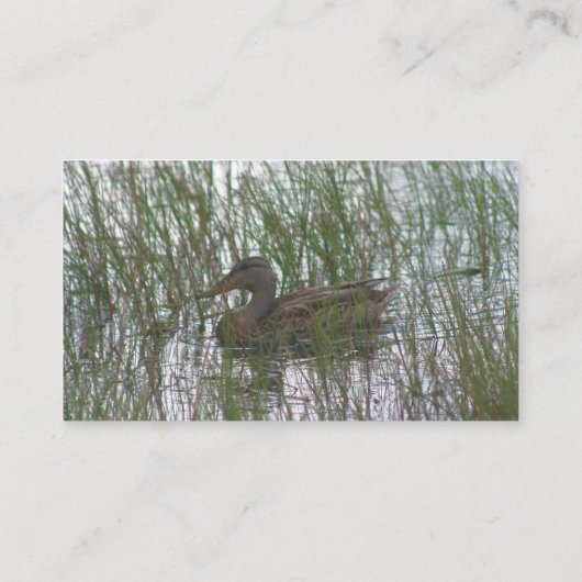 ブラウンダック動物名刺 名刺 (裏面)
