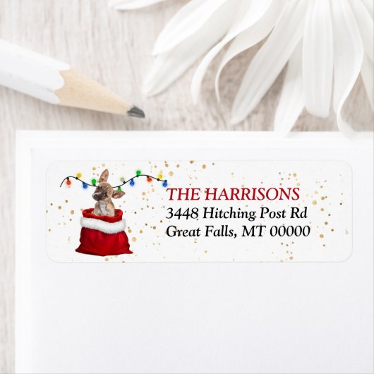 ブラウンチワハウ子犬イン抱き枕差出人住所 ラベル (インサイチュ)