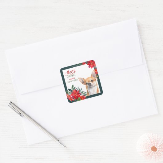 ブラウンチワホアドッグポインセチア縁どスクリスマス スクエアシール (封筒)