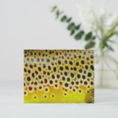 ブラウントラウトバイPatternWear© ポストカード (スタンド正面)