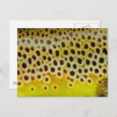 ブラウントラウトバイPatternWear© ポストカード (正面/裏面)