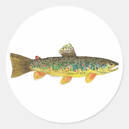 ブラウントラウト魚釣り ラウンドシール (正面)