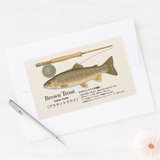 ブラウントラウト(Salmo trutta)–日本画イラスト 長方形シール