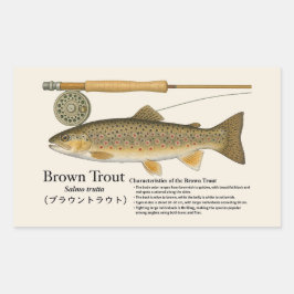 ブラウントラウト(Salmo trutta)- 英国のイラスト 長方形シール