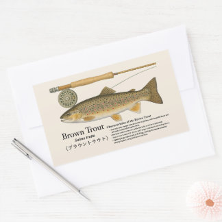 ブラウントラウト(Salmo trutta)- 英国のイラスト 長方形シール