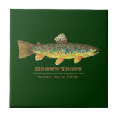 ブラウントラウトLatin Ichthyology タイル (正面)