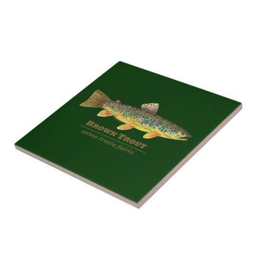 ブラウントラウトLatin Ichthyology タイル (側面)