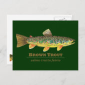 ブラウントラウトLatin Ichthyology ポストカード (正面/裏面)