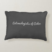 ブラウントーントントンフライ訛り枕 アクセントクッション (裏面)