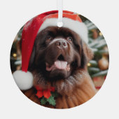 ブラウンニューファンドランドドッグサンタハットオーナメント ガラスオーナメント (裏面)