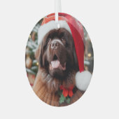ブラウンニューファンドランドドッグサンタハットオーナメント ガラスオーナメント (正面左)