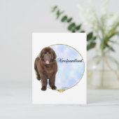 ブラウンニューファンドランドポートレート ポストカード (スタンド正面)