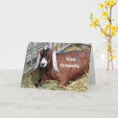 ブラウンヌビかわいらしアンヤギフォト悔やみや弔慰 カード (黄色い花)