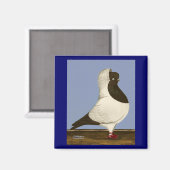 ブラウンヌーンハト マグネット (正面/裏面)