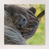 ブラウンハイランド牛 ジグソーパズル (横)