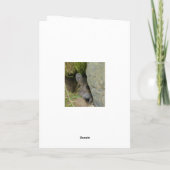 ブラウンハレのレベレットのスコットランドカード カード (裏面)