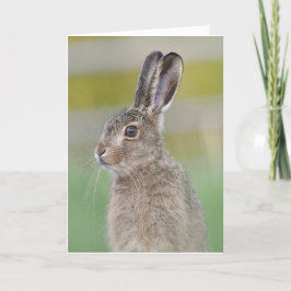 ブラウンハレのレベレットのスコットランドカード カード