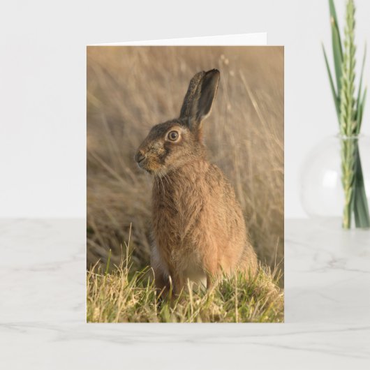 ブラウンハレ折りグリーティングカード カード (正面)