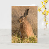 ブラウンハレ折りグリーティングカード カード (黄色い花)