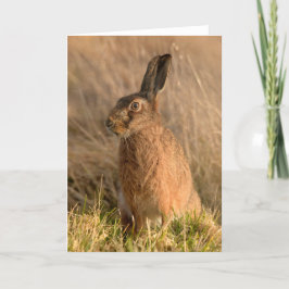 ブラウンハレ折りグリーティングカード カード