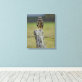 ブラウンハワイアンフクロウが柵の柱に座る キャンバスプリント (インサイチュ (ウッドフロア))