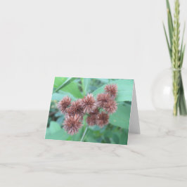 ブラウンバー開花空白の- Greeting Card カード