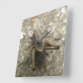 ブラウンフィールドクリケットの壁時計 スクエア壁時計 (傾斜)