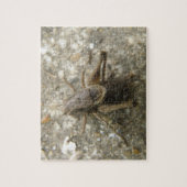 ブラウンフィールドクリケットパズル ジグソーパズル (縦)