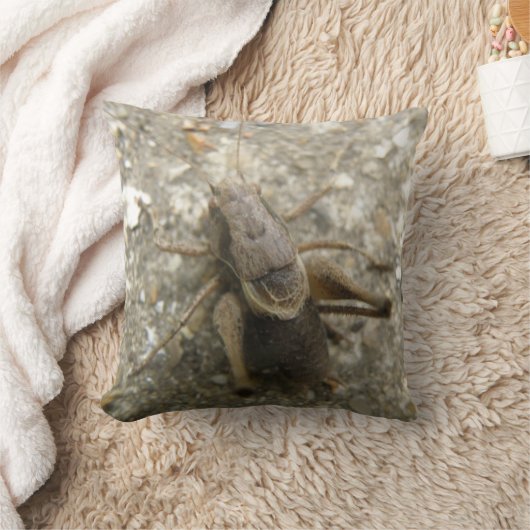 ブラウンフィールドクリケット枕 クッション (ブランケット)