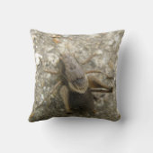 ブラウンフィールドクリケット枕 クッション (裏面)