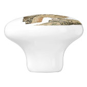 ブラウンフクロウヴィンテージアート セラミックノブ (側面)