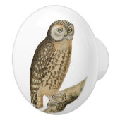 ブラウンフクロウヴィンテージアート セラミックノブ (右)