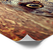 ブラウンフクロウ蝶クローズアップ ポスター (角)