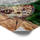 ブラウンフクロウ蝶フレーム自分の写真を作成 ポスター (角)