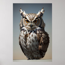 ブラウンフクロウ