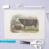 ブラウンフュエフエメラデクページヴィンテージファーム 薄葉紙 (クラフト)