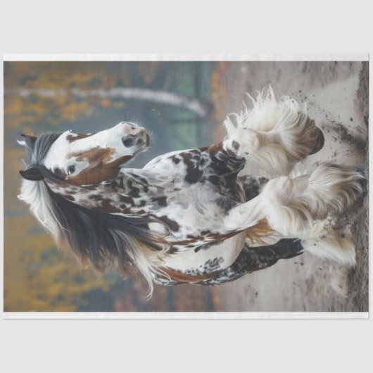 ブラウンブラッククレイデールホースデコップページ 薄葉紙 (正面)