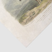 ブラウンブルカウエフエメラデクページヴィンテージファーム 薄葉紙 (詳細)