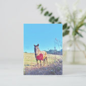 ブラウンブルーティンドホース赤いハート ポストカード (スタンド正面)