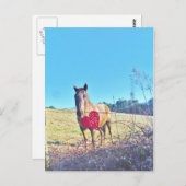 ブラウンブルーティンドホース赤いハート ポストカード (正面/裏面)